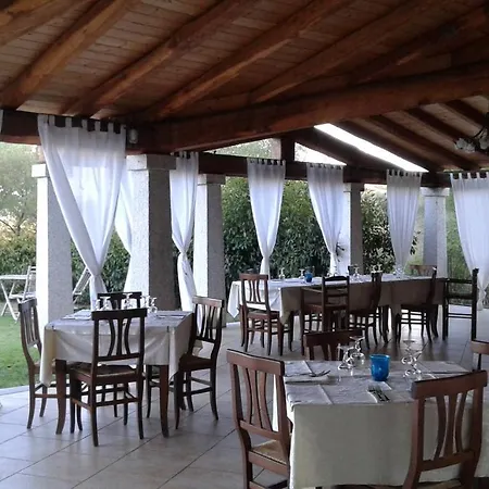 Lu Baroni בודוני