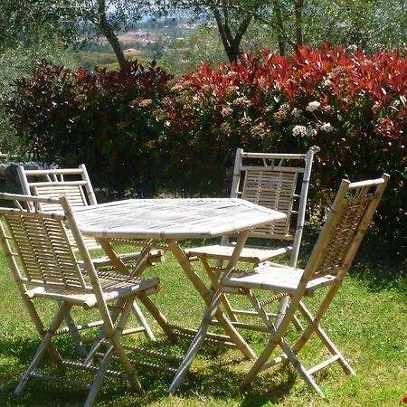 Lu Baroni בודוני